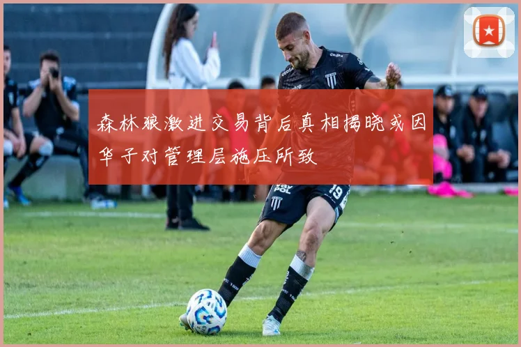 森林狼激进交易背后真相揭晓或因华子对管理层施压所致